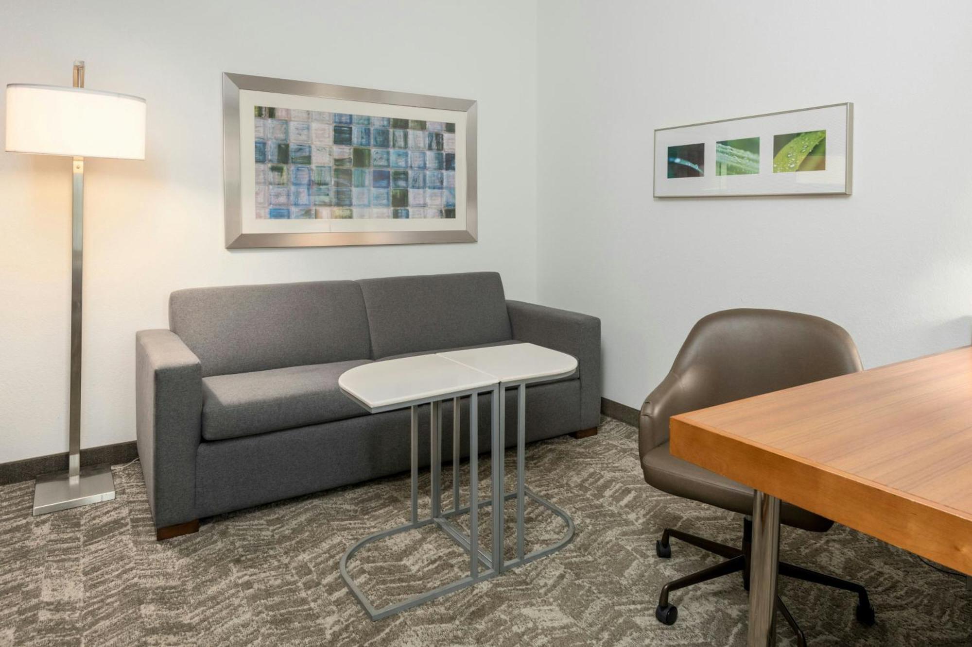 Springhill Suites By Marriott Lafayette South At River Ranch Екстериор снимка